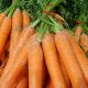 Mini carotte botte