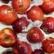 Pomme RED CHIEF FRANCE