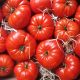 Tomate Marmande FRANCE