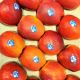 Pomme JAZZ FRANCE