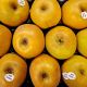 Pomme canada FRANCE