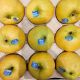 Pomme Chanteclerc FRANCE