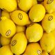 Citron Jaune ESPAGNE