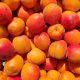 Abricots esp