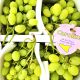 Raisin blanc ITALIA
