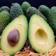 Avocat Hass ESPAGNE
