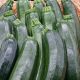 Courgette FRANCE