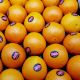 Orange de table ESPAGNE