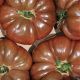 Tomate  Noire De Crimée  FRANCE