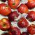 Pomme RED CHIEF FRANCE