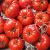 Tomate Marmande FRANCE