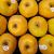 Pomme canada FRANCE