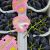 Raisin noir ITALIA