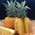 Ananas Victoria FRANCE