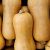 Courge butternut PORTUGAL