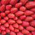 Fraise Gariguette  FRANCE plateau 