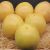 Pomelos rose ESPAGNE