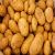 Pomme de terre AGRIA