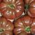 Tomate  Noire De Crimée  FRANCE