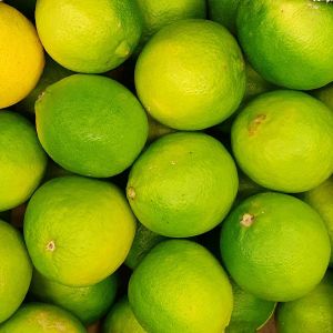 Citron vert LIME 